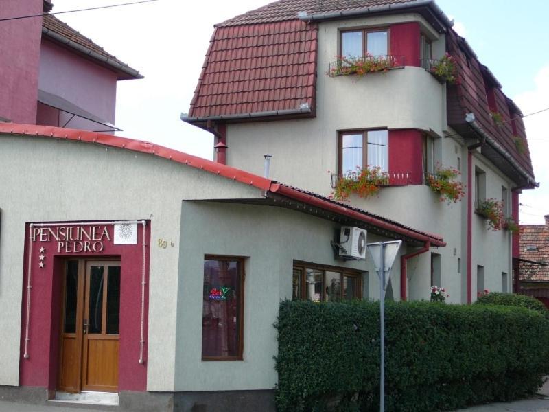 Pensiunea Pedro Cluj-Napoca Esterno foto